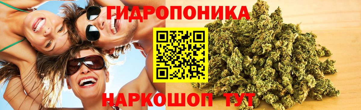 Шишки марихуана VHQ Великий Устюг